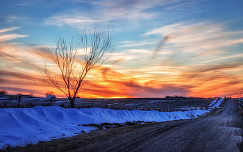 Skyline, sunset, tree, winter, road HD wallpaper