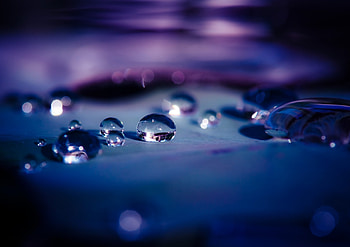 Drops, Macro, Surface, Shadow, Dew HD wallpaper
