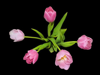 tulips, pink, spring, flower HD wallpaper