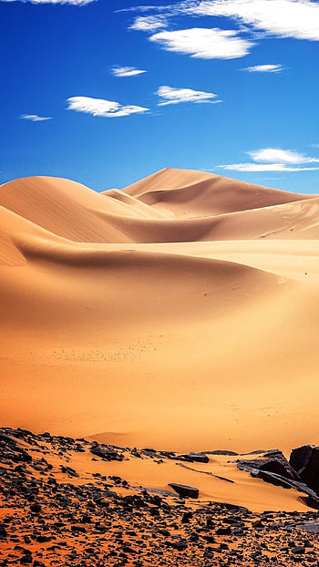 Africa Algeria desert HD phone wallpaper