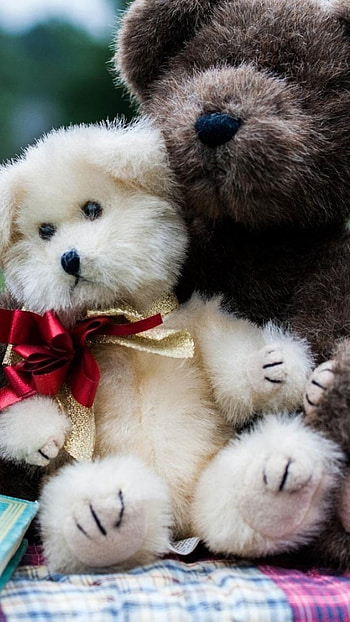 Teddy Bear Ka, Bear Puppy HD phone wallpaper