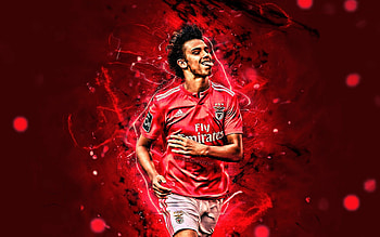João Félix, SL Benfica, Footballer, Joao Felix, Portuguese, Soccer, benfica HD wallpaper