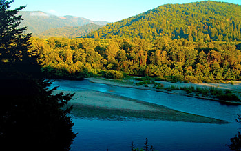 RIVER FLOW, river, nature, mountains, forest HD wallpaper