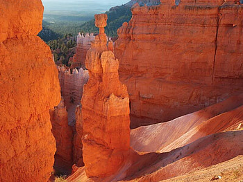 Standing Tall, landscape, standing, orange, rock, light, canyon, trees, nature, forest HD wallpaper