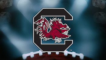 Gamecock Android , Unique designs, Mobile backgrounds, Customizations HD wallpaper