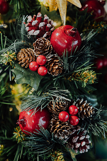 Holidays, Cones, New Year, Berries, Christmas, Christmas Tree HD phone wallpaper