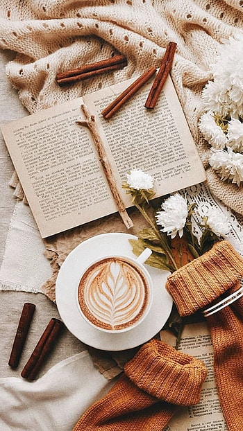 Brown Aesthetic, Aesthetic Things HD phone wallpaper