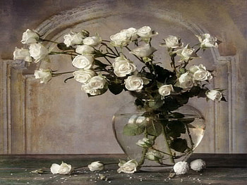 white sentiment, glass, white, roses, bud HD wallpaper
