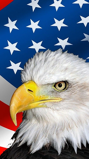 Memorial Day 2022, American Flag, Eagle HD phone wallpaper