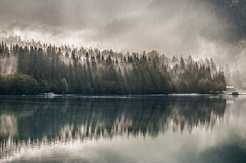 Serene foggy forest reflected on a tranquil lake, creating a mystical natural landscape. HD wallpaper