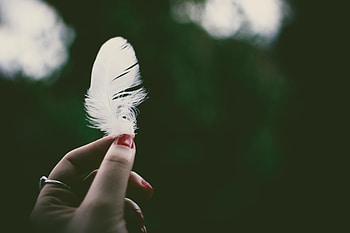 Feather, Hand, Miscellanea, Miscellaneous, Fingers, Pen, Ease HD wallpaper