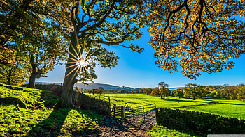 Beautiful England Nature Countryside Scenery Ultra HD wallpaper