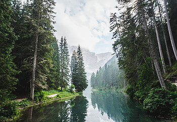 Nature, Trees, Clouds, Lake, Forest HD wallpaper
