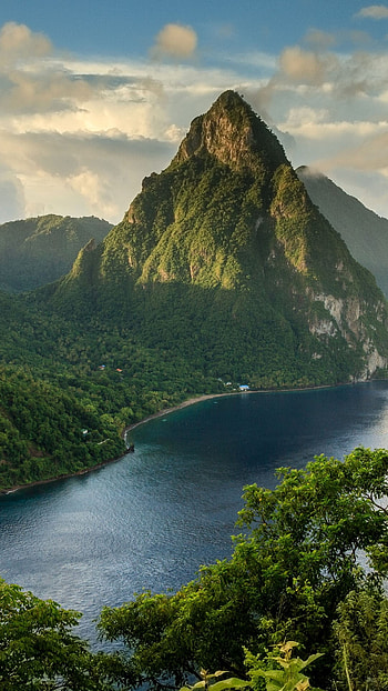 Petit Piton, Gros Piton, Rainforest, Saint Lucia HD phone wallpaper