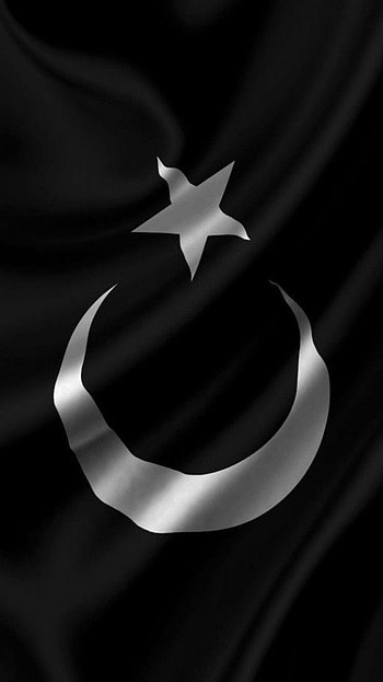 için Türk Bayrağı Duvar Kağıtları. EFSANE, Turkish Flag Black and White HD phone wallpaper