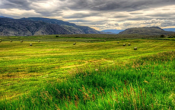 Grass, nature, field, mountain HD wallpaper
