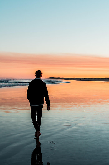 Nature, Sunset, Beach, Horizon, Silhouette HD phone wallpaper