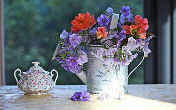 Still Life, bouquet, flowers, sugar bowl, blossoms, colors HD wallpaper