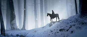 Man Horse Walking Through Woods , horse, forest, artist, artwork, digital-art, artstation HD wallpaper