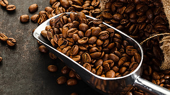 Ground vs whole bean, Coffee roasters, Coffee beans difference, Eldorado Coffee HD wallpaper