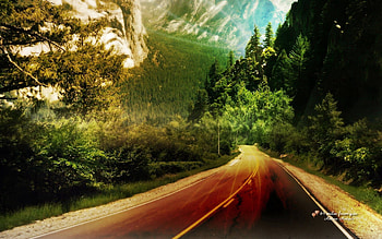 Nature, Art, Road, Markup, Forest, Asphalt, Flora, Signature, Fauna HD wallpaper