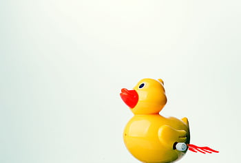 A bright yellow rubber duck toy against a plain white background with ample copy space. HD wallpaper