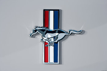 Pony, badge, mustang, emblem, for HD wallpaper