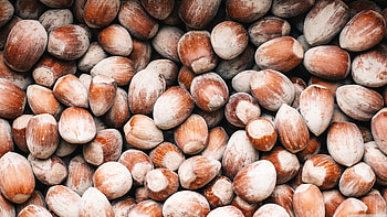 Hazelnuts, Ultra , background HD wallpaper