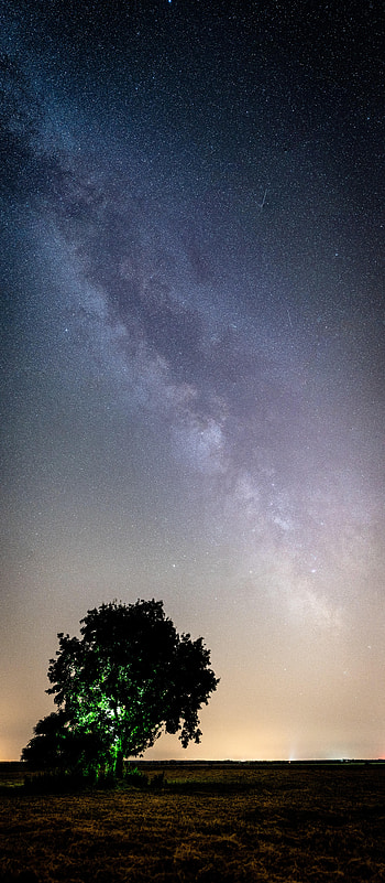Landscape, Nature, Night, Wood, Tree, Starry Sky, Plain HD phone wallpaper