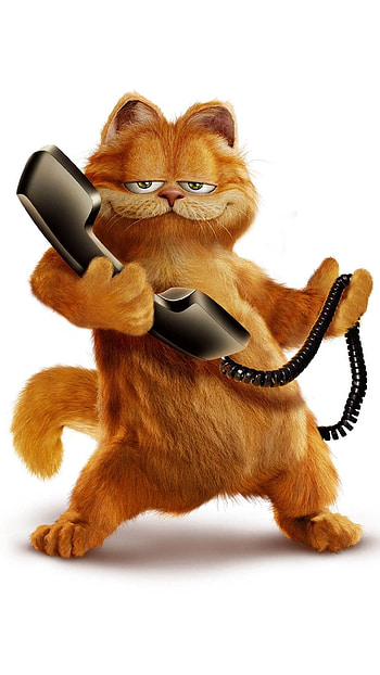 Garfield, Animation, Cat cartoon, Cartoons HD phone wallpaper