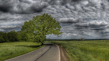 Landscape, Trees, Roads HD wallpaper