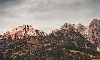 Nature, Trees, Mountains, Austria, Leogang HD wallpaper