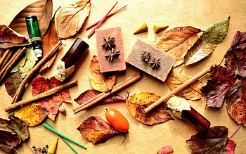 Leaves, Berries, Cinnamon, Miscellanea, Miscellaneous, Barberry, Bottles, Vials HD wallpaper