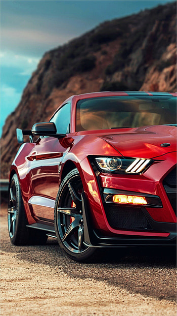 Mustang Gt500 . Mustang gt500, Fondos de pantalla de coches, Ford mustang gt, Ford Gt 500 HD phone wallpaper