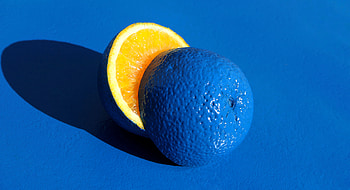 macro, food, lemon HD wallpaper