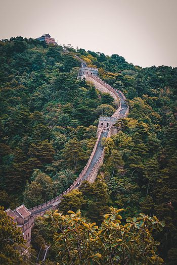 Nature, Architecture, Forest, Wall, Hill HD phone wallpaper