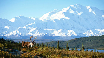 Alaska , Grant Lake Corporation, beautiful landscapes, Alaska travels HD wallpaper
