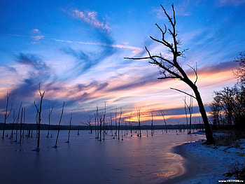 Sunrise Over The Lake , trees, sky, colours, nature, water, lake, sunrise HD wallpaper