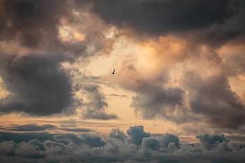 Nature, Sky, Clouds, Bird HD wallpaper