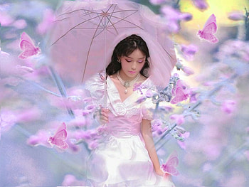 Delicate Pastel Lavender, blue, delicate, pink, white, black, yellow, soft, lavenader HD wallpaper