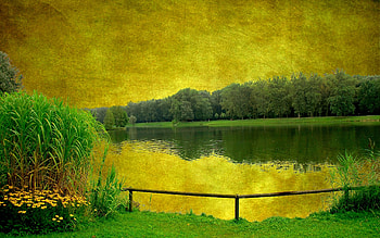 Plants, Landscape, Water, Art HD wallpaper