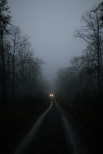 Trees, Lights, Dark, Road, Fog, Car, Headlights HD phone wallpaper