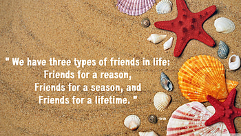 Friends, words, shells, quotes, sand, thoughts, beach, nature, friendship HD wallpaper