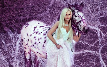 Blonde & Her Appaloosa, SEXY, BEAUTIFUL, FASHION MODEL, APPALOOSA, BLONDE HD wallpaper