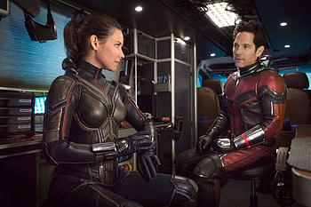 Evangeline Lilly, Wasp character, Ant-Man 3 director, Lead stars equality HD wallpaper