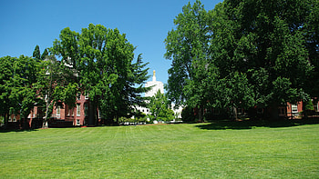 Willamette University, Capitol in background, Salem Oregon, Travels HD wallpaper
