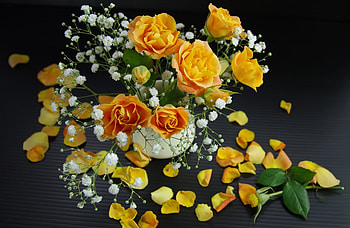 Flowers, Roses, Petals, Bouquet, Gypsophilus, Gipsophile HD wallpaper