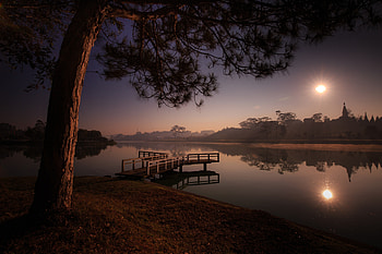 Tree, lake, reflections, sunset, nature HD wallpaper