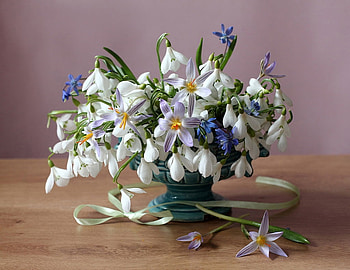 ✼ ✼, Flowers, Spring, Promroses, Table, Vase HD wallpaper
