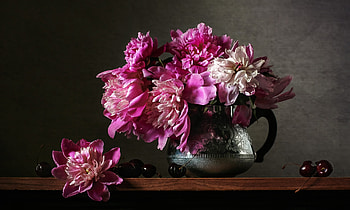 Peonies, Cherries, Flowers, Pitcher, Berries HD wallpaper